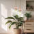 Lampa wisząca MOLLY GREEN 1xE14 ML1824 Milagro