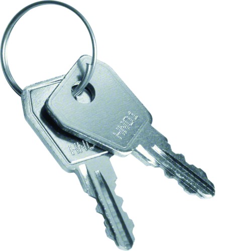 volta Klucz zapasowy dla VZ302N standard VZ304N Hager