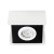Sufitowa oprawa punktowa TORIM DLP-50 W-B 28460 Kanlux