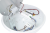 Naścienna oprawa hermetyczna LED, zmienna barwa, inwerter 230VAC,17/2W,1600/140lm,3000/4000/6500K,3h,IP54,EEI=E ADAME17W Tracon Electric