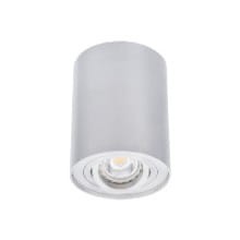 Sufitowa oprawa punktowa BORD DLP-50-AL 22550 Kanlux