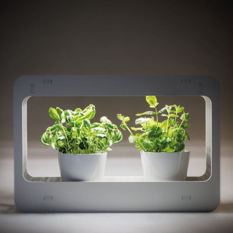 Oprawa dekoracyjna Zielnik domowy MINIGARDEN LED SIMPLE 27162 Kanlux