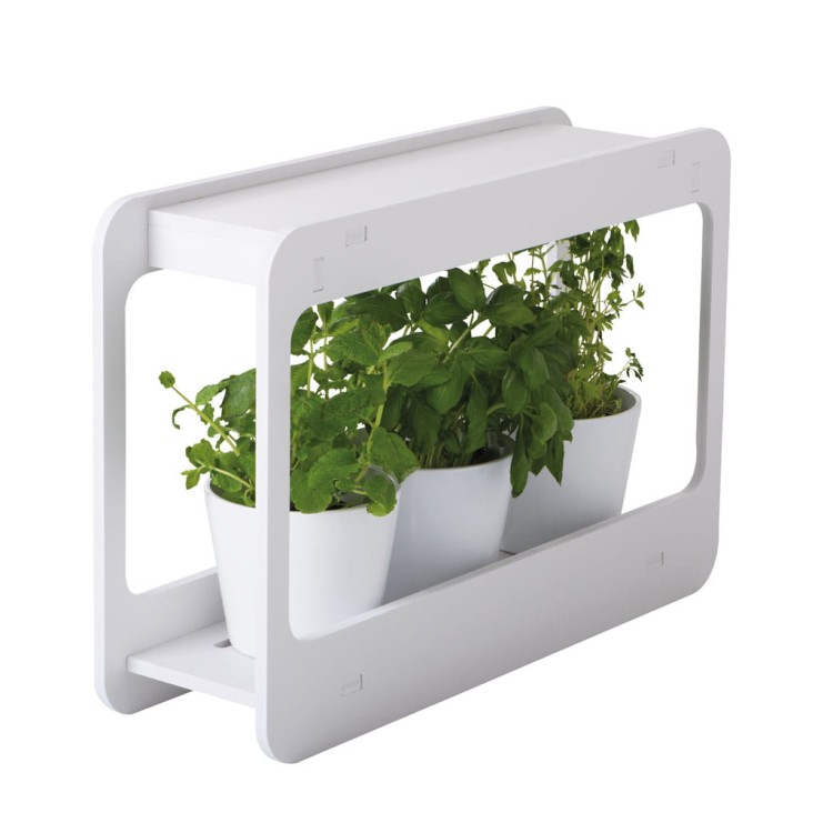 Oprawa dekoracyjna Zielnik domowy MINIGARDEN LED SIMPLE 27162 Kanlux