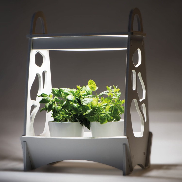 Oprawa dekoracyjna Zielnik domowy MINIGARDEN LED LACE-2 27161 Kanlux