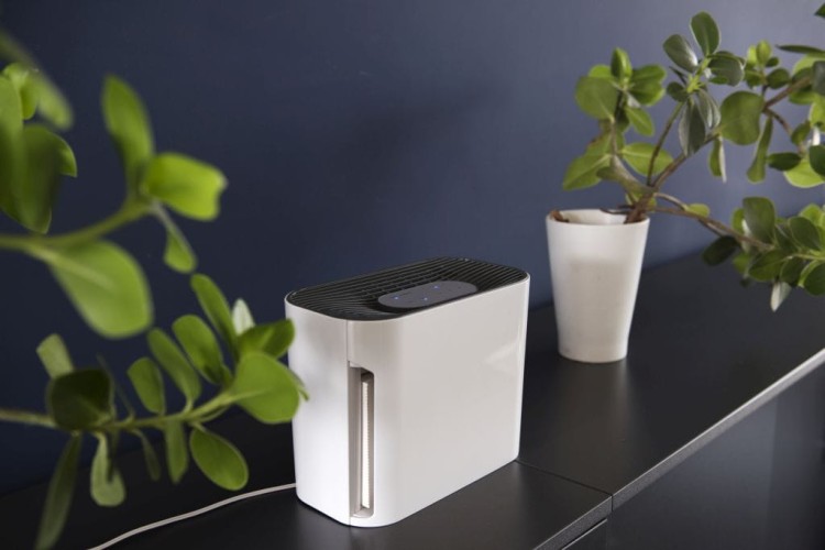 Oczyszczacz powietrza Purie APF-W/GR Kanlux GreenBerry 26471