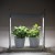 Oprawa dekoracyjna Zielnik domowy MINIGARDEN LED LACE-1 27160 Kanlux