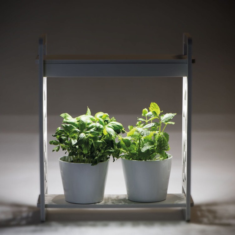 Oprawa dekoracyjna Zielnik domowy MINIGARDEN LED LACE-1 27160 Kanlux