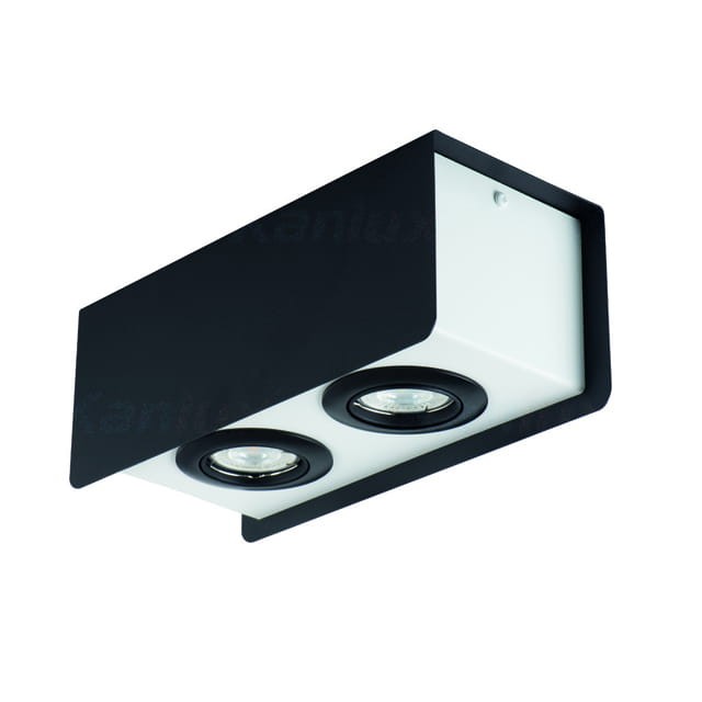 Sufitowa oprawa punktowa TORIM DLP-250 B-W 28463 Kanlux