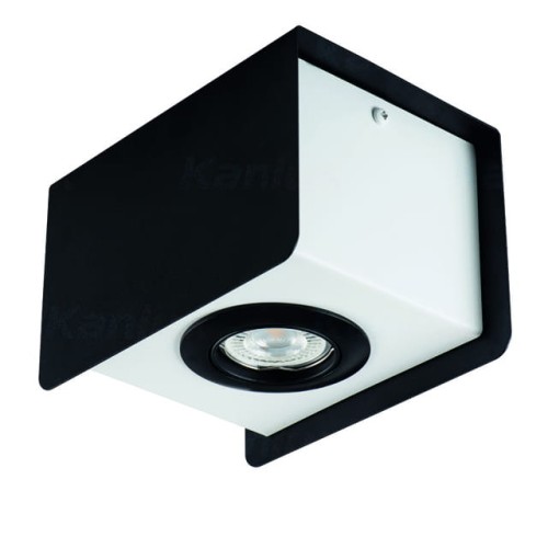 Sufitowa oprawa punktowa TORIM DLP-50 B-W 28461 Kanlux